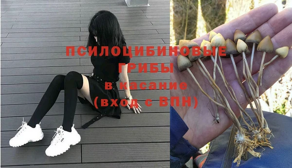 гидропоника Белоозёрский