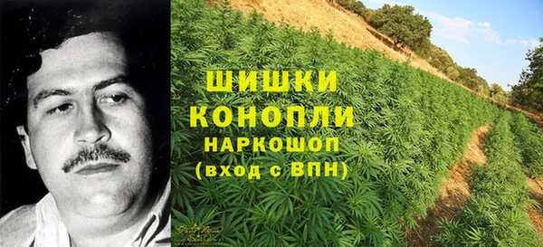 гидропоника Белоозёрский