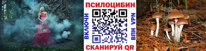 наркота  Короча  Галлюциногенные грибы прущие грибы 