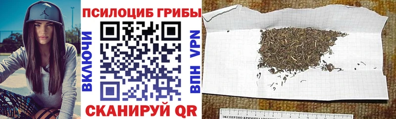 Галлюциногенные грибы мухоморы Короча