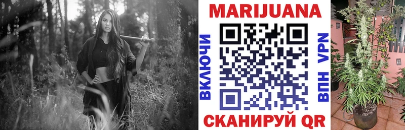 Марихуана Bruce Banner  Короча 
